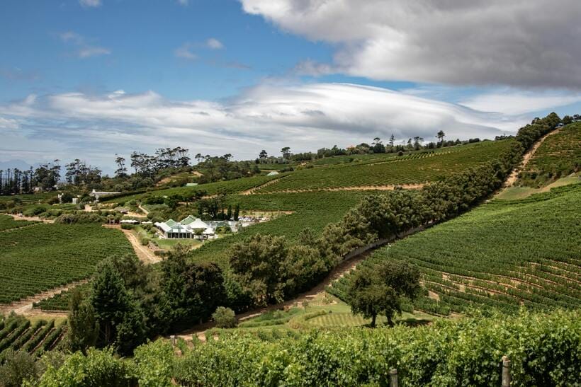 Trusted Drone Repairs in the Garden Route, Boland & Cape Winelands – Fast, Local, Expert Service 1 cape winelands top view